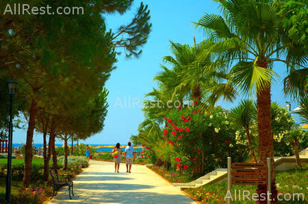 Asa Club Holiday Resort 3